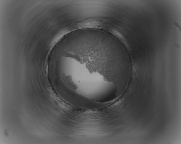 X0000102021419200807181316