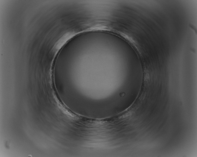 X0000102021423200807181316