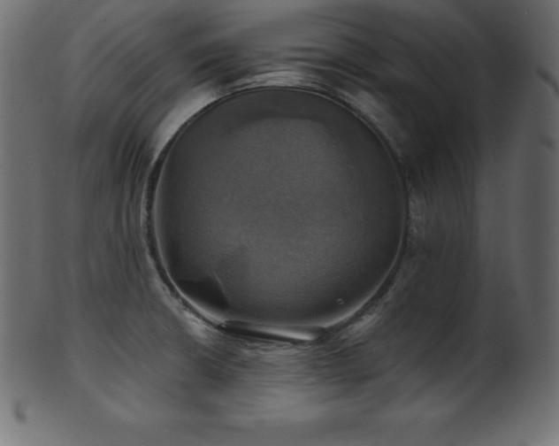 X0000102021426200807181316