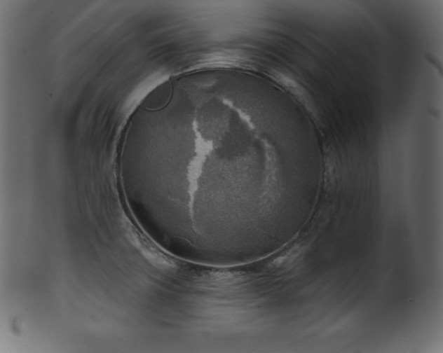 X0000102021427200807181316