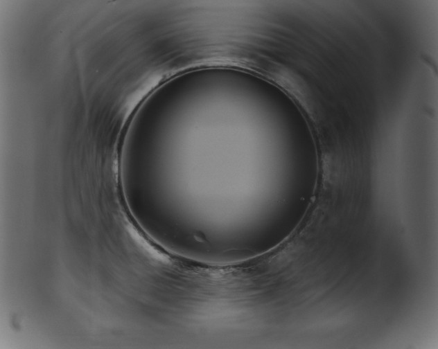 X0000102021428200807181316