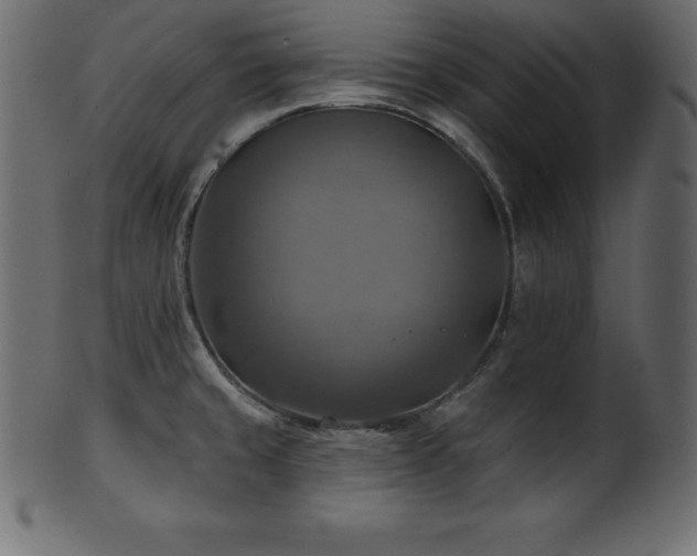 X0000102021429200807181316