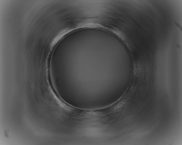 X0000102021430200807181316