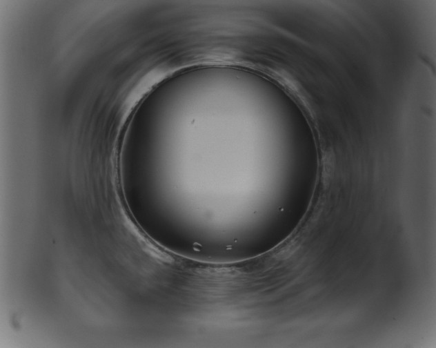 X0000102021432200807181316