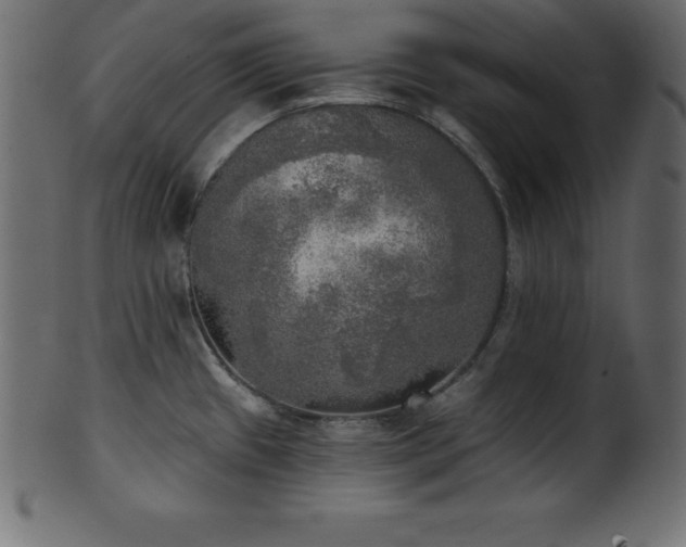 X0000102021433200807181316