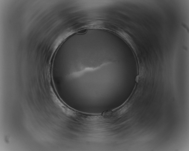 X0000102021434200807181316