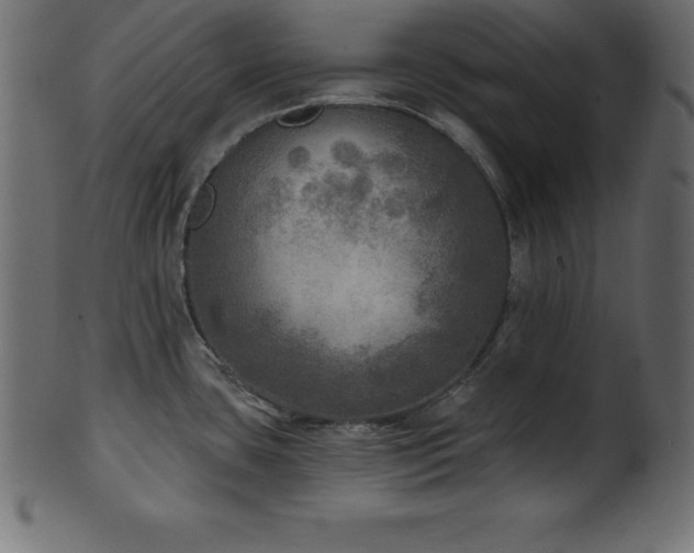X0000102021435200807181316