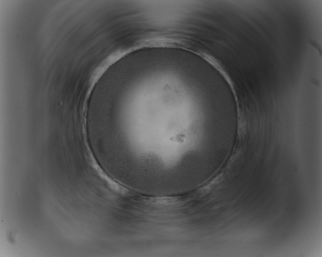 X0000102021437200807181316
