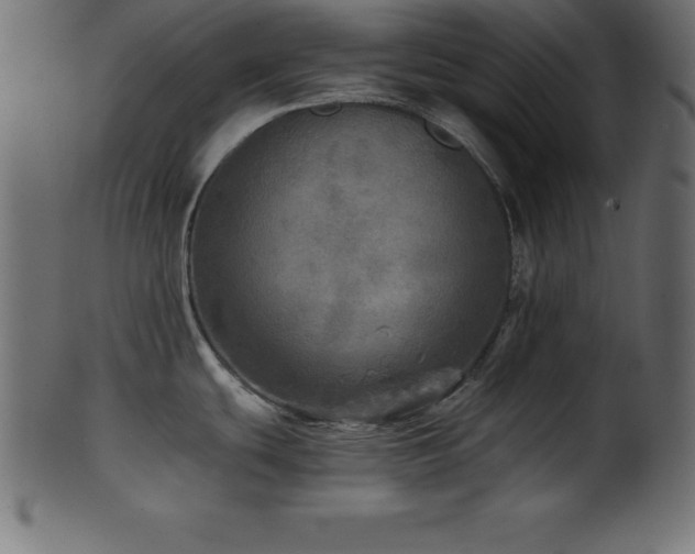 X0000102021439200807181316