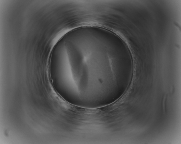 X0000102021440200807181316