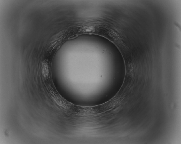 X0000102021442200807181315
