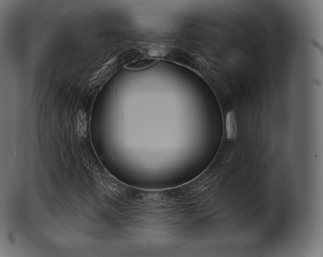 X0000102021443200807181315