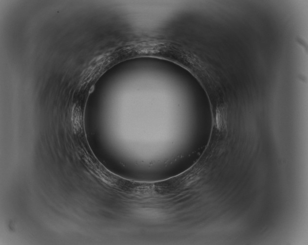 X0000102021444200807181315