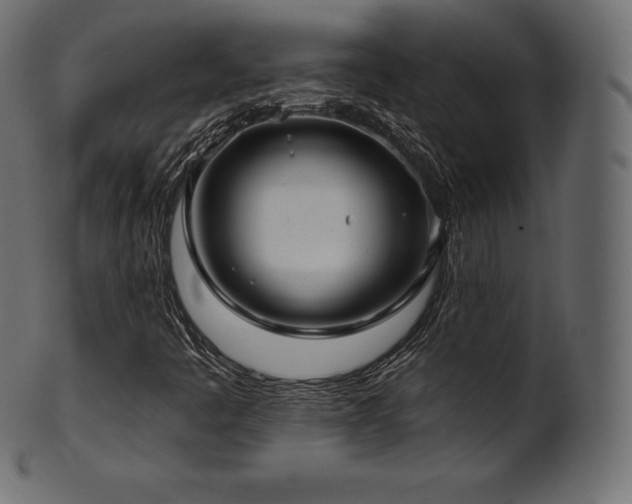 X0000102021445200807181315
