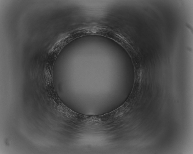 X0000102021446200807181315