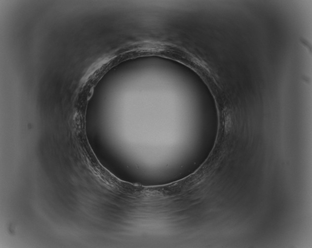 X0000102021448200807181315