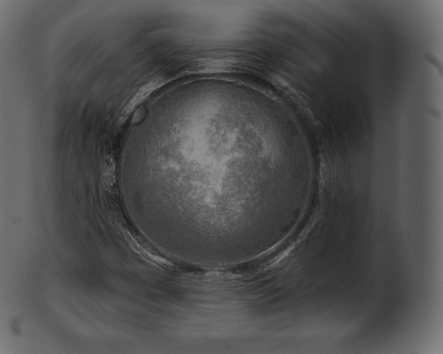 X0000102021449200807181315