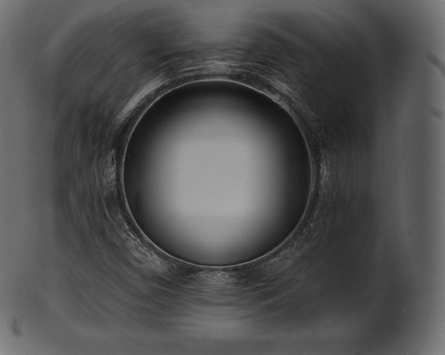 X0000102021450200807181315