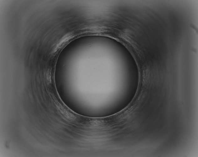 X0000102021451200807181315