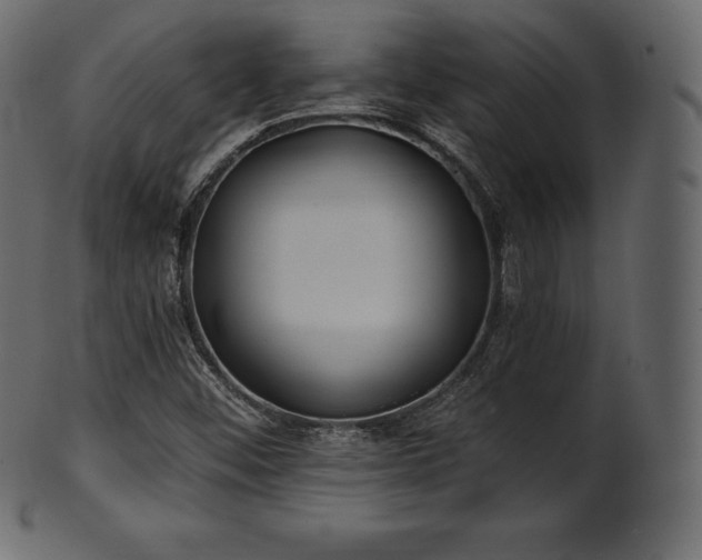 X0000102021452200807181315