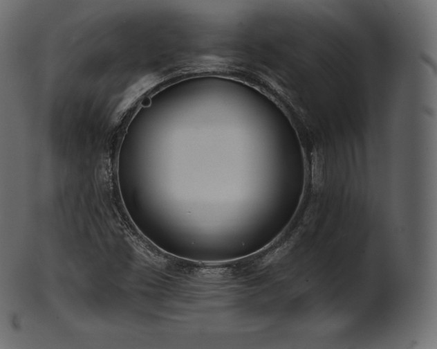 X0000102021453200807181315