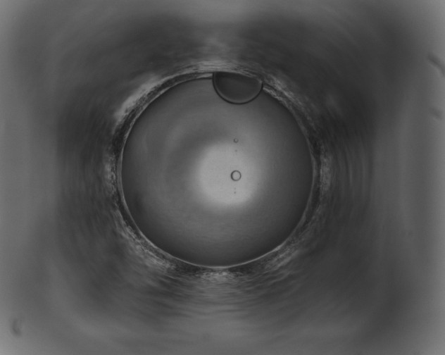 X0000102021454200807181315