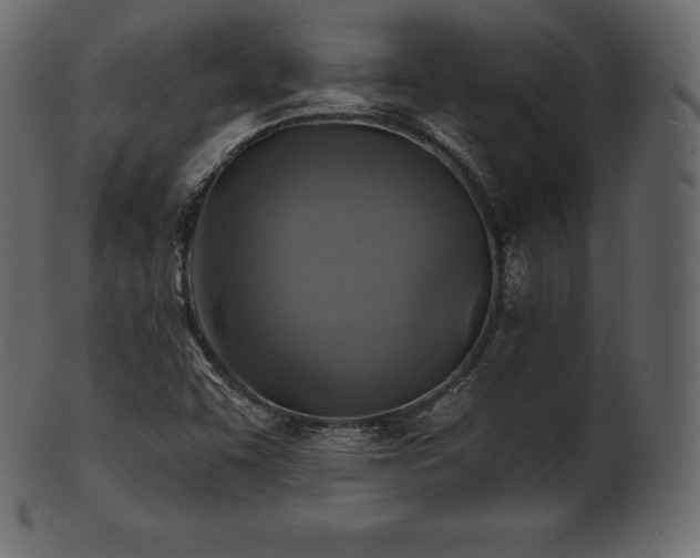 X0000102021455200807181315