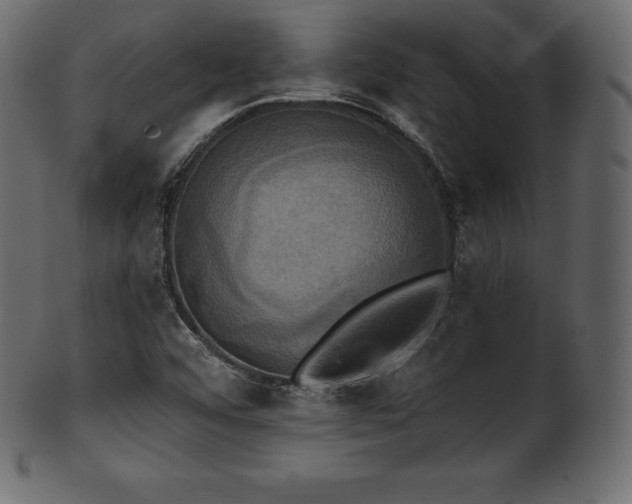 X0000102021456200807181315