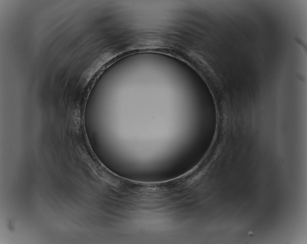 X0000102021457200807181315