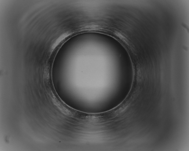 X0000102021458200807181315