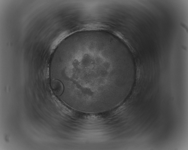 X0000102021459200807181315
