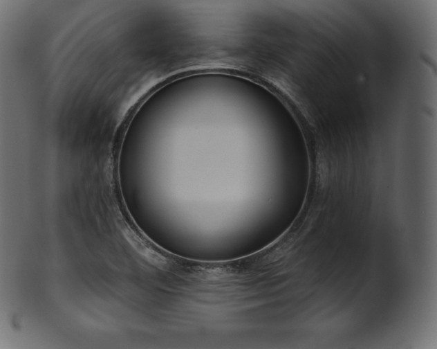 X0000102021460200807181315