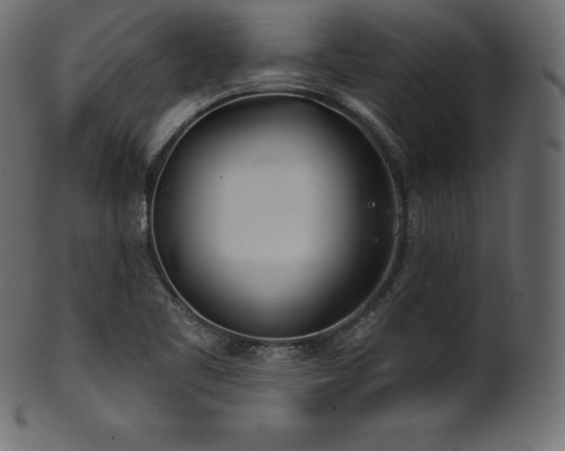 X0000102021461200807181315
