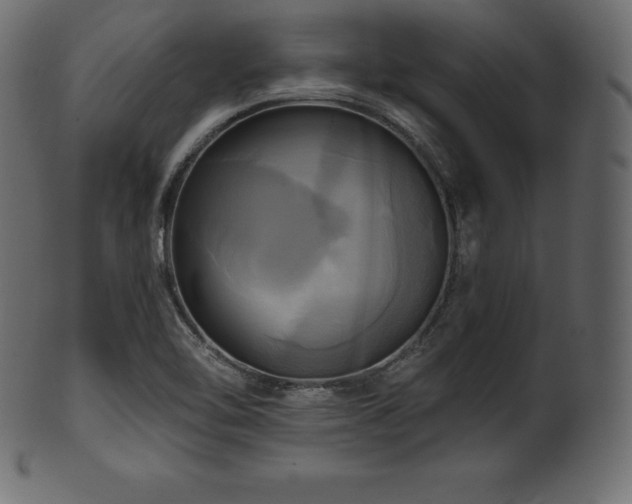 X0000102021462200807181315