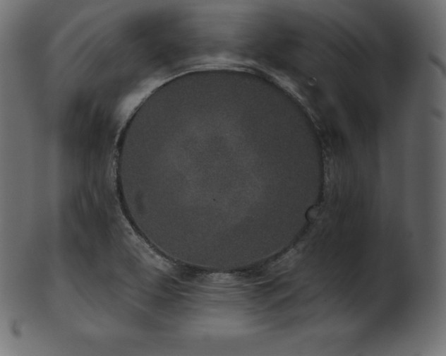 X0000102021463200807181315