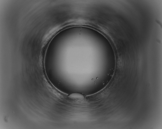 X0000102021464200807181315