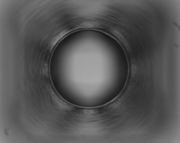 X0000102021465200807181315