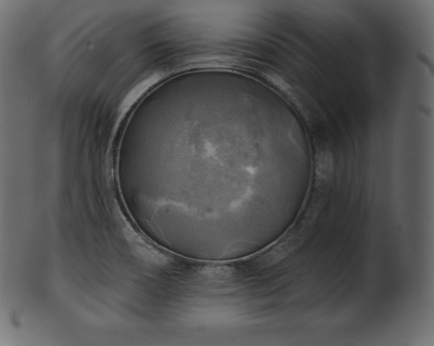 X0000102021466200807181315