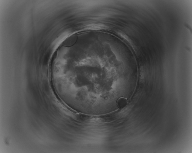X0000102021467200807181315