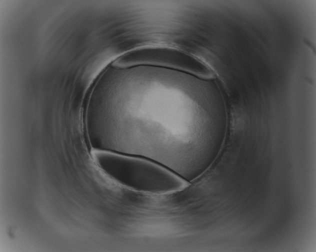 X0000102021468200807181315
