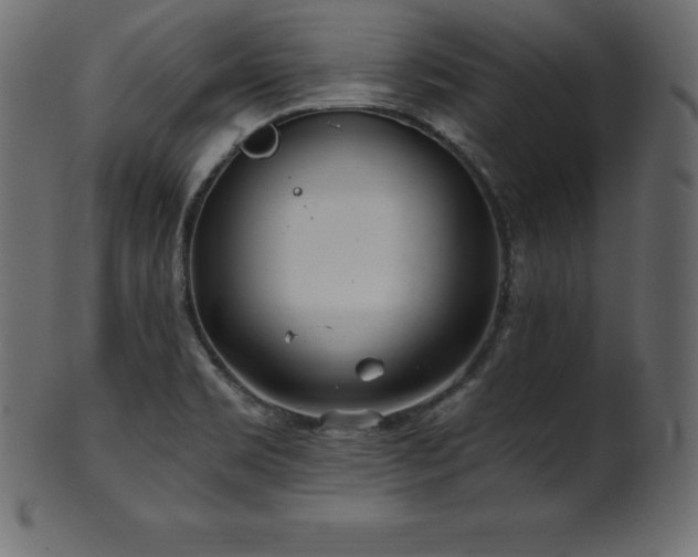 X0000102021469200807181315