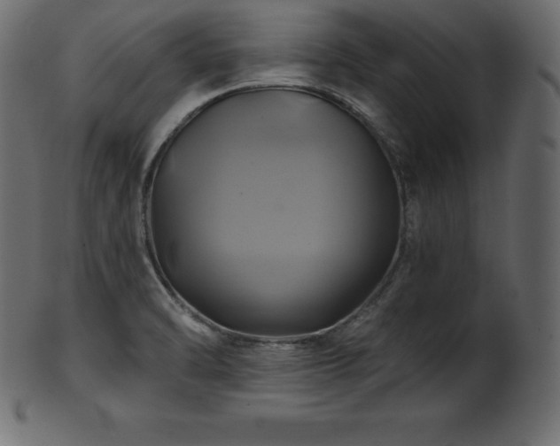 X0000102021470200807181315