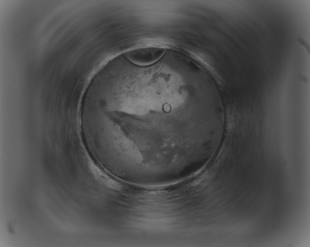 X0000102021471200807181315