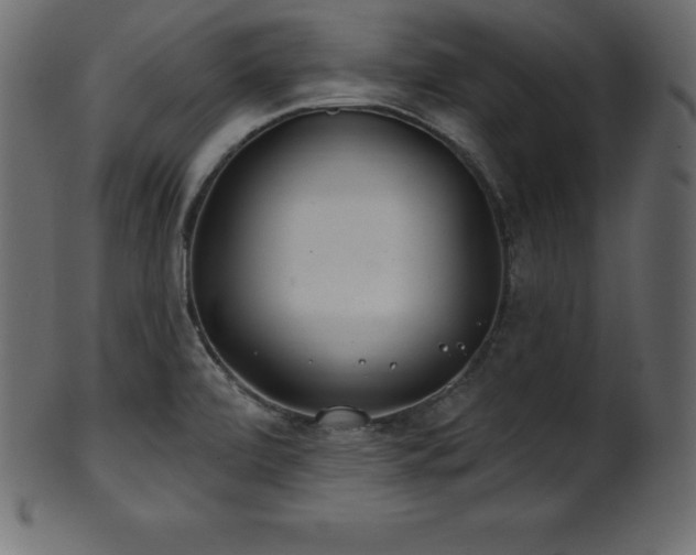 X0000102021472200807181315