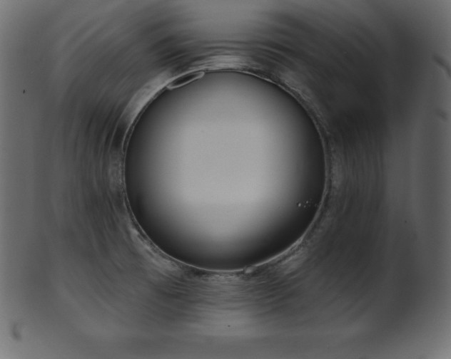 X0000102021473200807181315