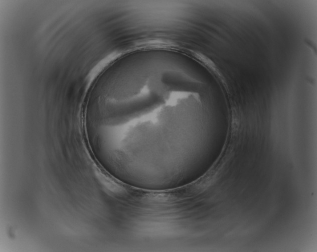 X0000102021474200807181315