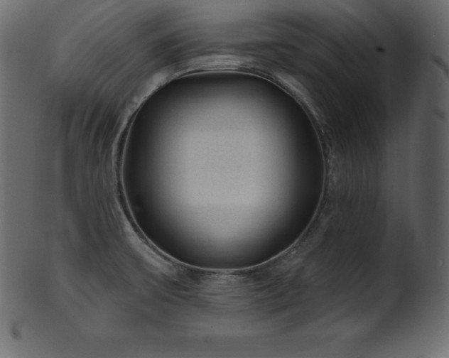 X0000102021475200807181315