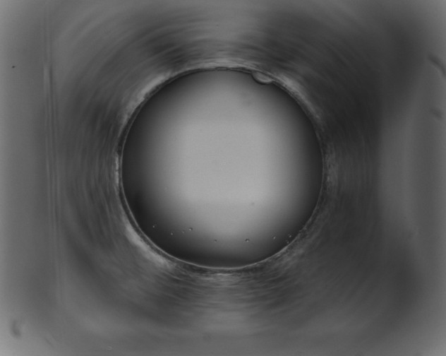 X0000102021476200807181315