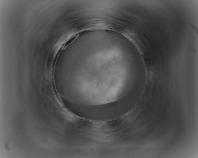 X0000102021477200807181315