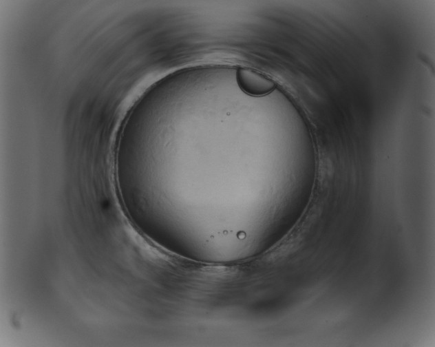 X0000102021478200807181315